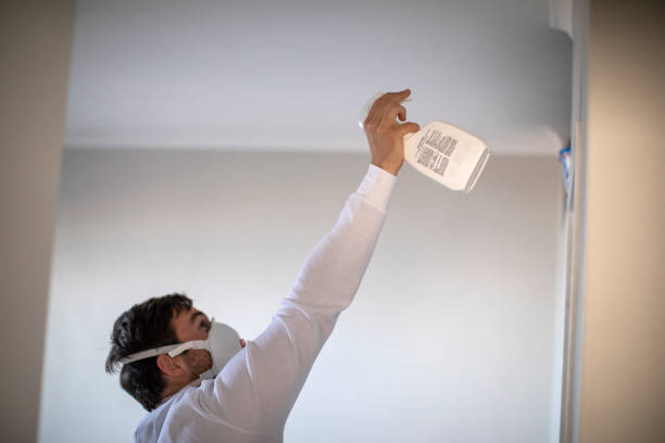 Best Mold Damage Repair  in Huntington, TX