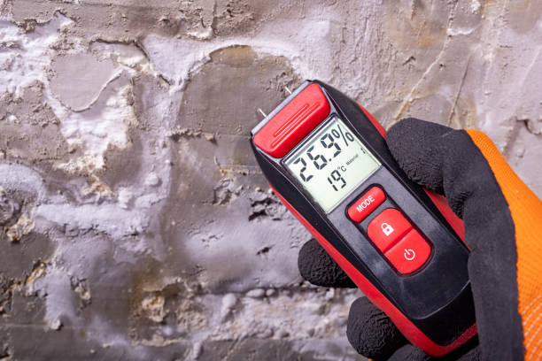 Best Mold Removal and Inspection  in Huntington, TX