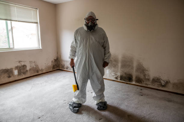 Office Mold Removal Services in Huntington, TX